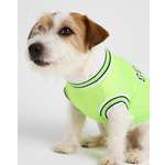 Изображение товара Футболка для собак и кошек Зоозавр: M