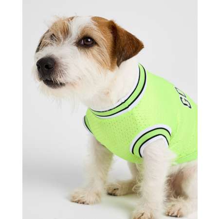 Футболка для собак и кошек Зоозавр