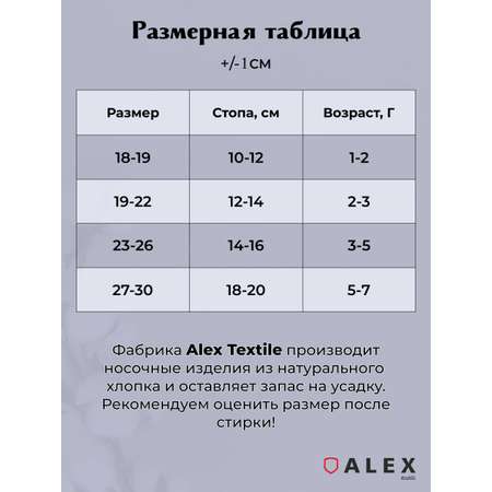 Носки 2 пары ALEX YVN