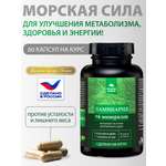 Концентрат пищевой Алтайские традиции Ламинария 60 капсул