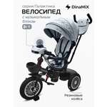 Трехколесный велосипед DinaMiX 12 дюймов