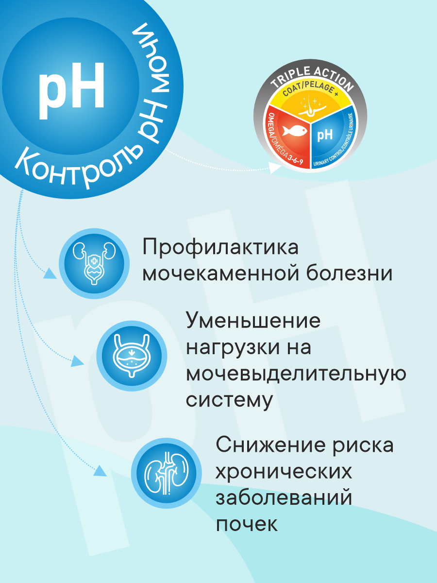 Корм сухой 1st Choice Здоровая кожа и шерсть для кошек на лососе 5.44кг - фото 4