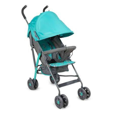 Коляска прогулочная Babyton Zoo Blue