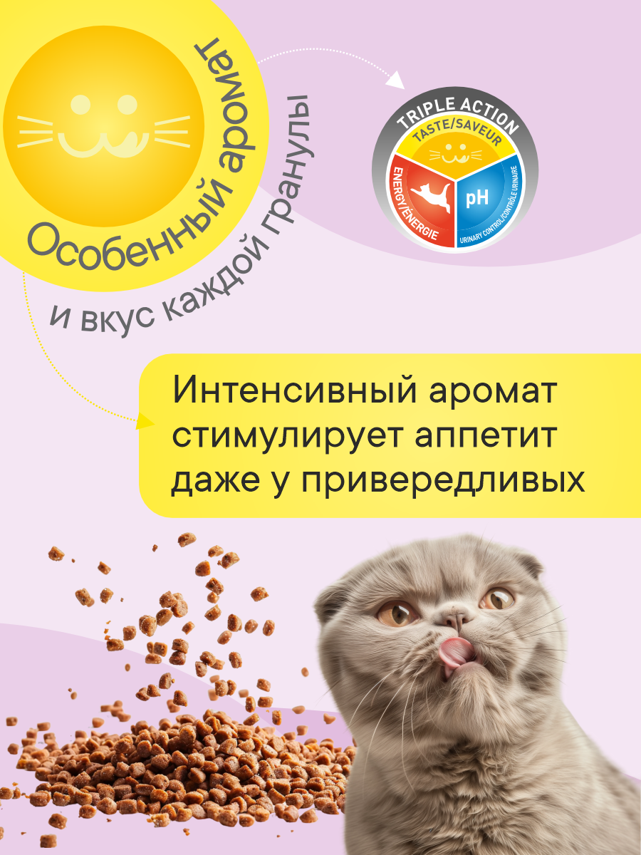 Корм сухой 1st Choice Finicky для привередливых кошек на курице 5.44кг - фото 3
