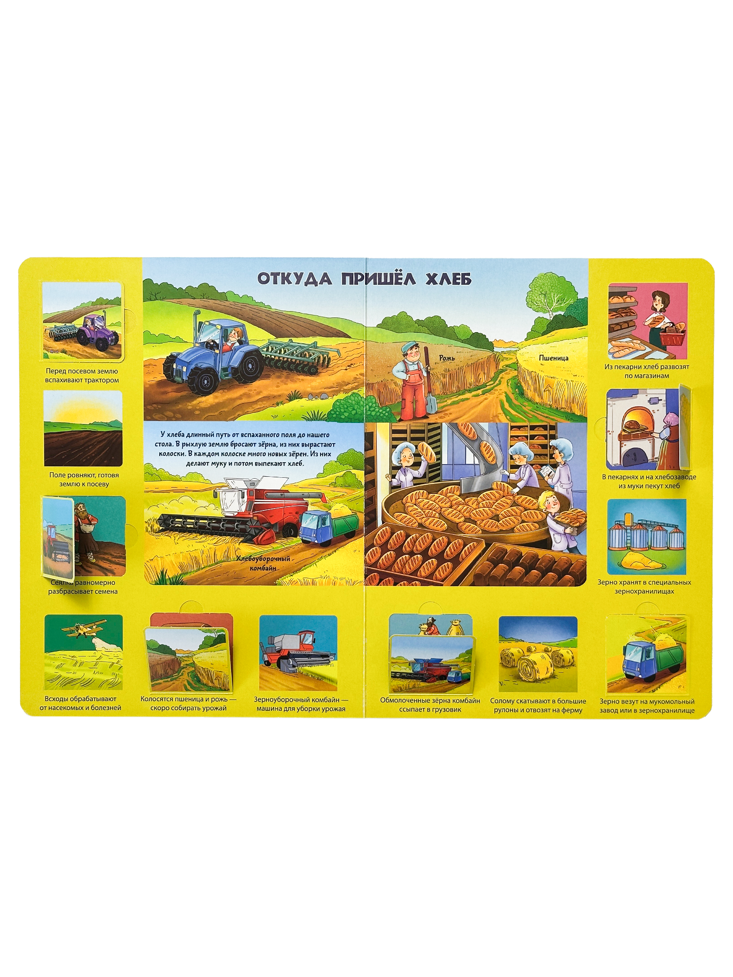 Энциклопедия с окошками БимБиМон Книга детская Виммельбух - фото 10