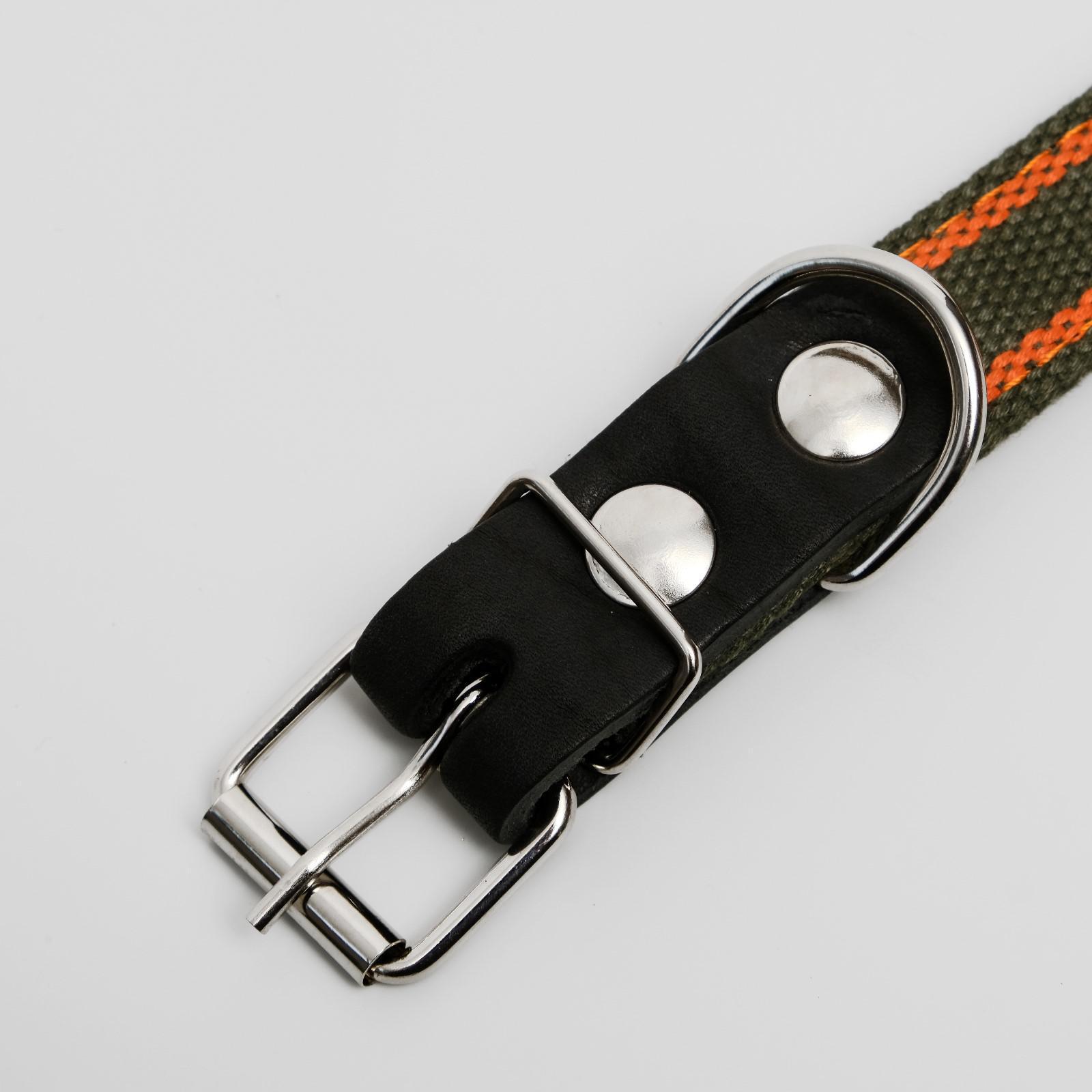 Ошейник Пижон брезентовый щенячий двухслойный 54 х 2.5 см хаки/оранжевый - фото 3