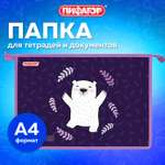 Папка для тетрадей Пифагор А4