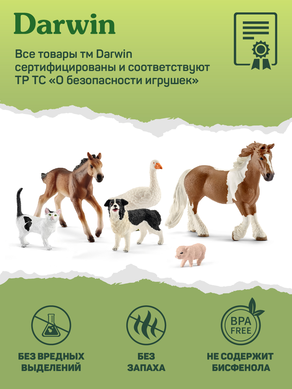 Игровой набор DARWIN Животные Курица - фото 6