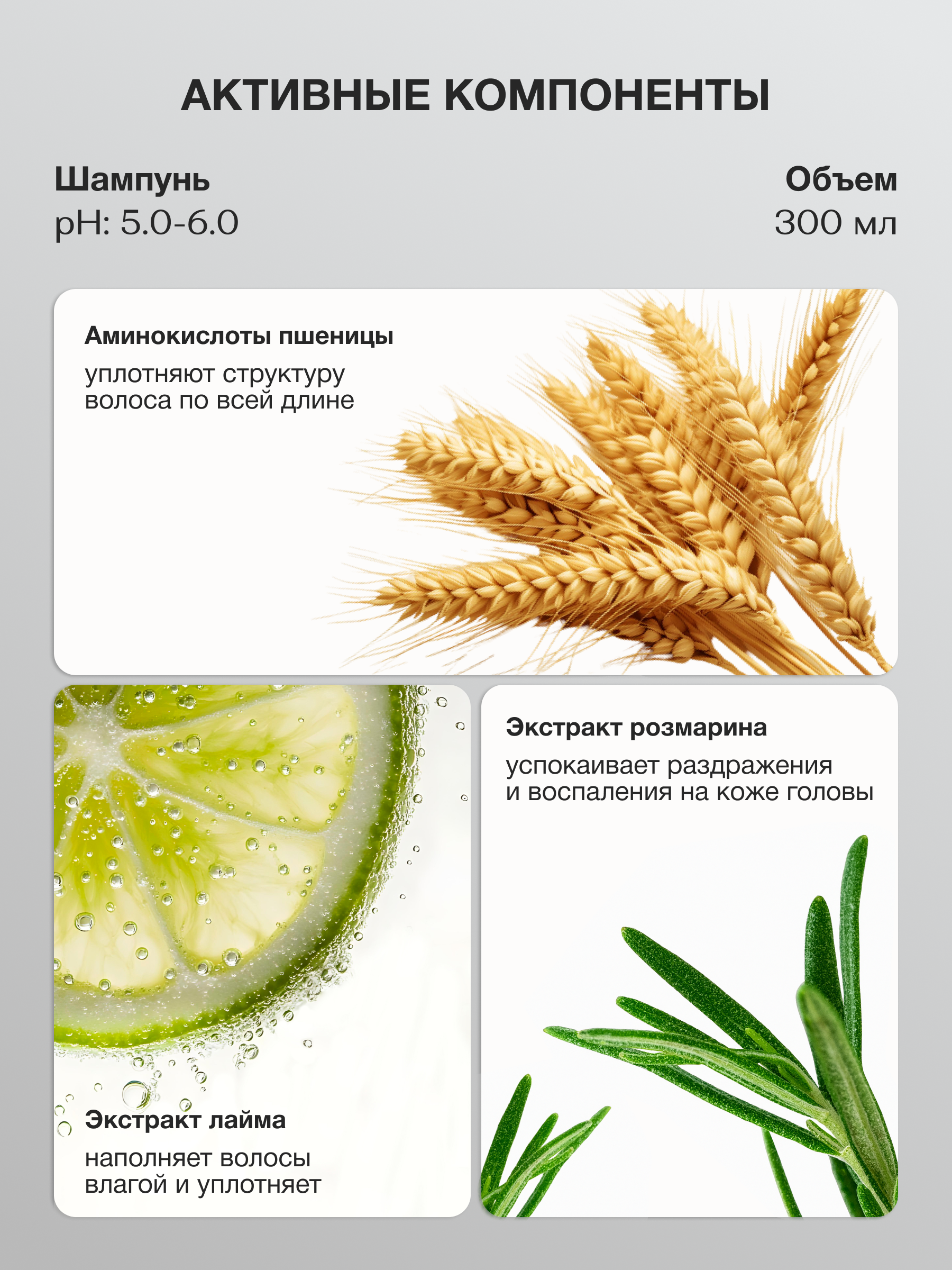 Шампунь Tashe Professional 300 мл - фото 3