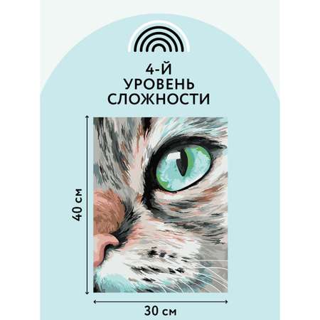 Картина по номерам ТРИ СОВЫ Кошачий взгляд