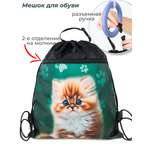 Мешок для обуви Darika