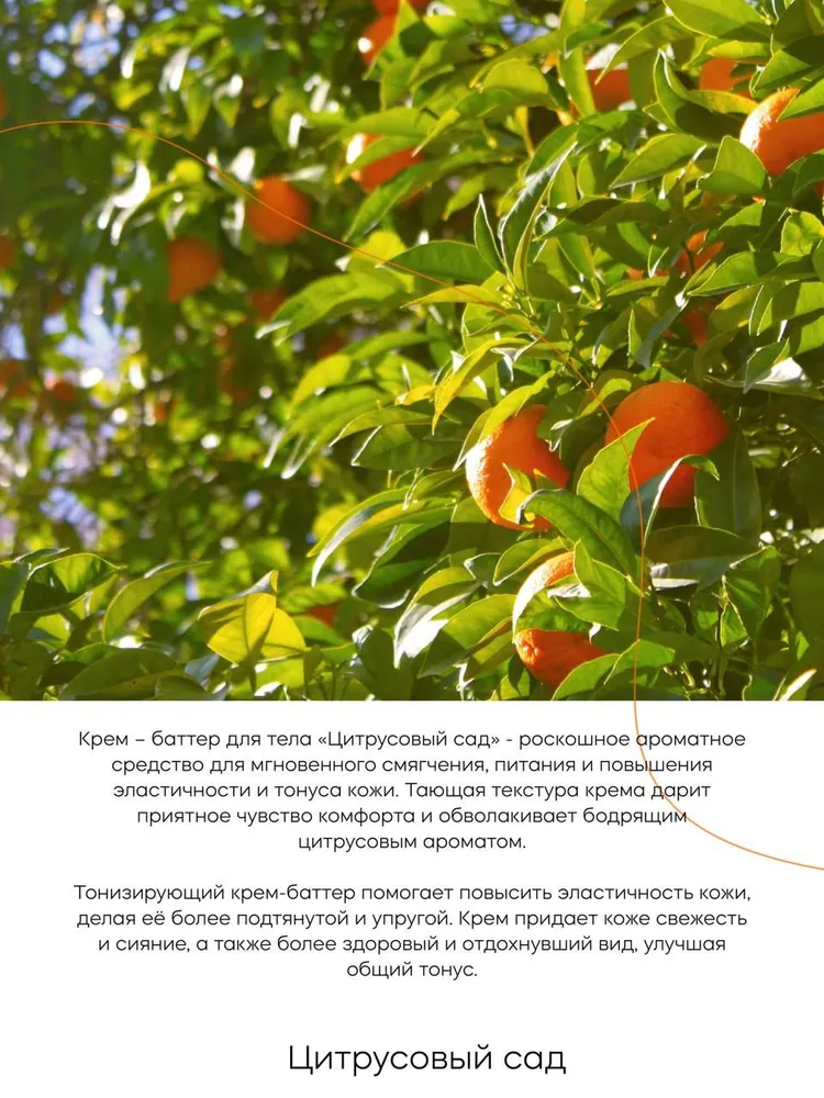 Крем Краснополянская косметика Цитрус 150 мл - фото 3