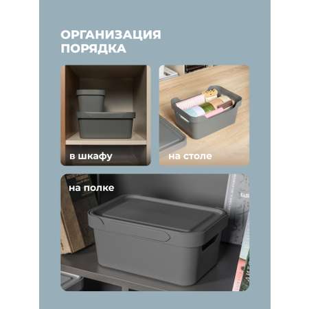 Набор ящиков с крышкой Econova Универсальные, 27х19х12 см, 4,6л