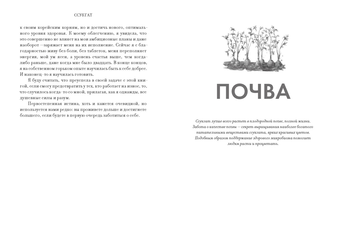 Книга КОЛИБРИ Бан М Ч Ссукгат Корейские секреты благополучия и осознанной жизни - фото 14