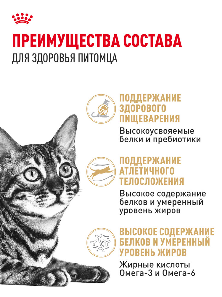 Корм сухой для кошек ROYAL CANIN 2кг Бенгальских - фото 3