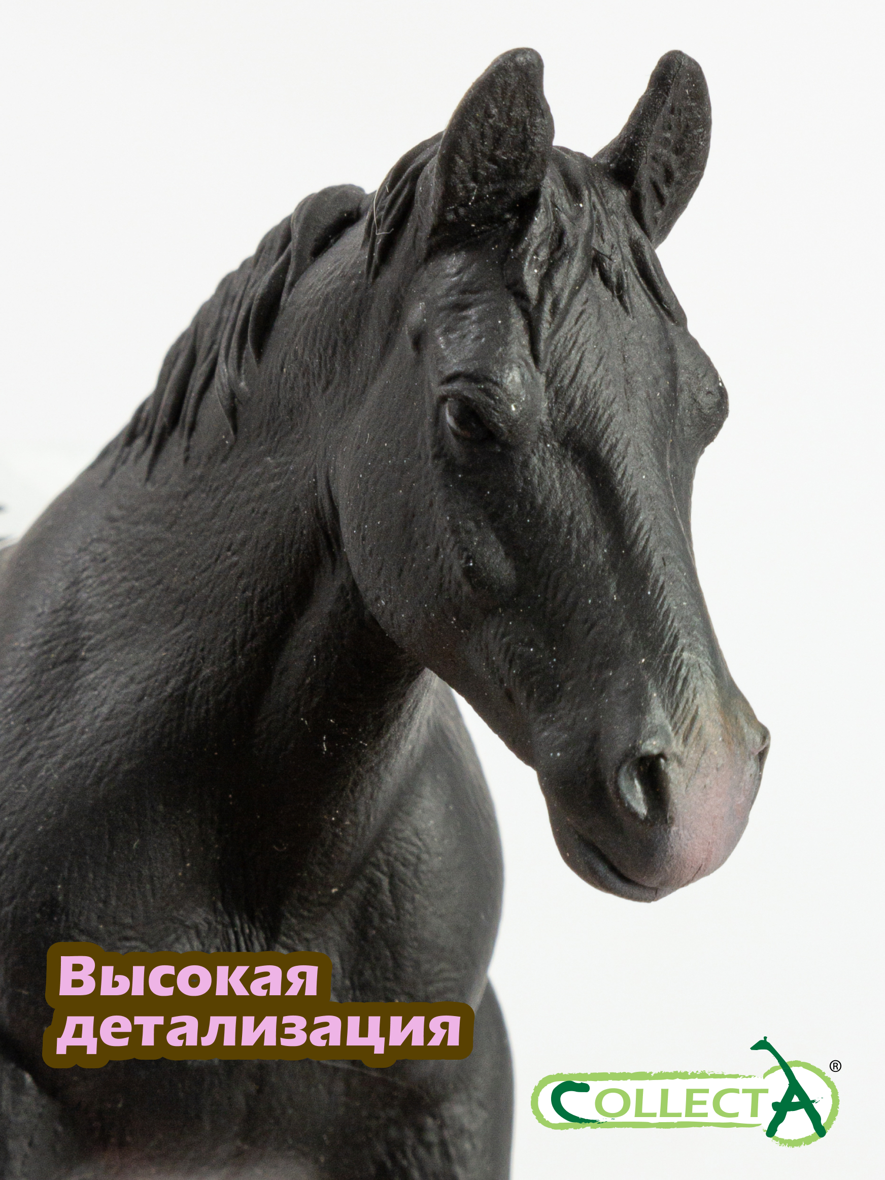 Фигурка Collecta Кобыла Шугарбуш Драфт - фото 3