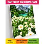 Картина по номерам Hobby Paint