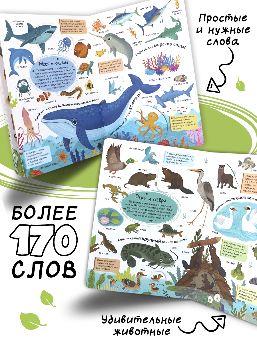 Книга с окошками Живая природа Животные Malamalama Энциклопедия для малышей - фото 11