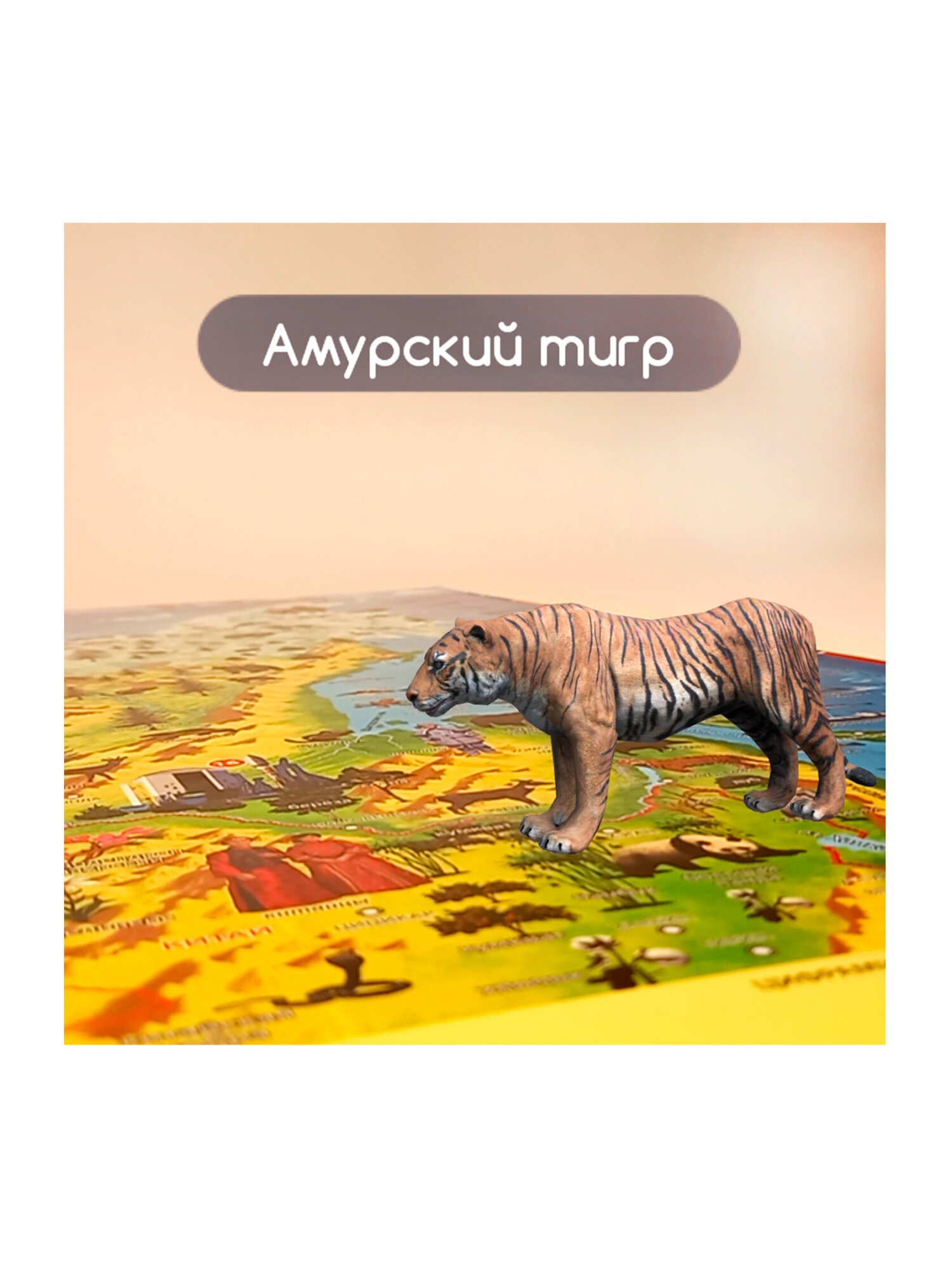 Карта настенная Юнландия детская игровая интерактивная Наша родина - фото 17
