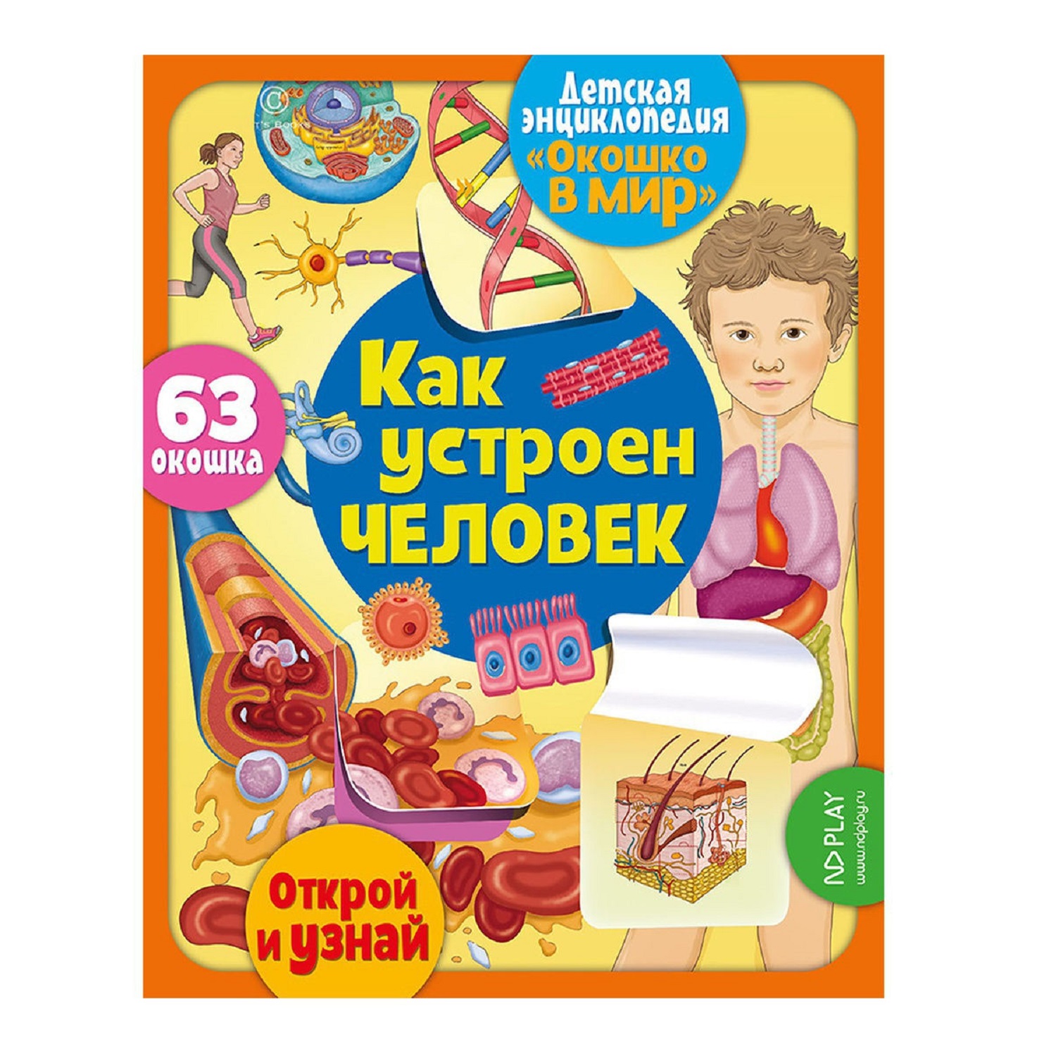 Книга ND PLAY Окошко в мир Как устроен человек - фото 1