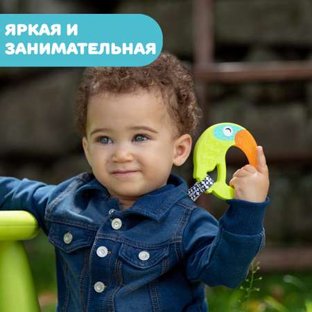 Прорезыватель Chicco