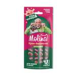 Крем-лакомство для кошек Molina 48г с уткой и курицей снижение запаха стула