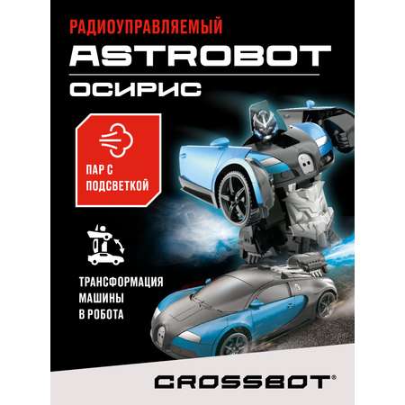 Автомобиль РУ CROSSBOT