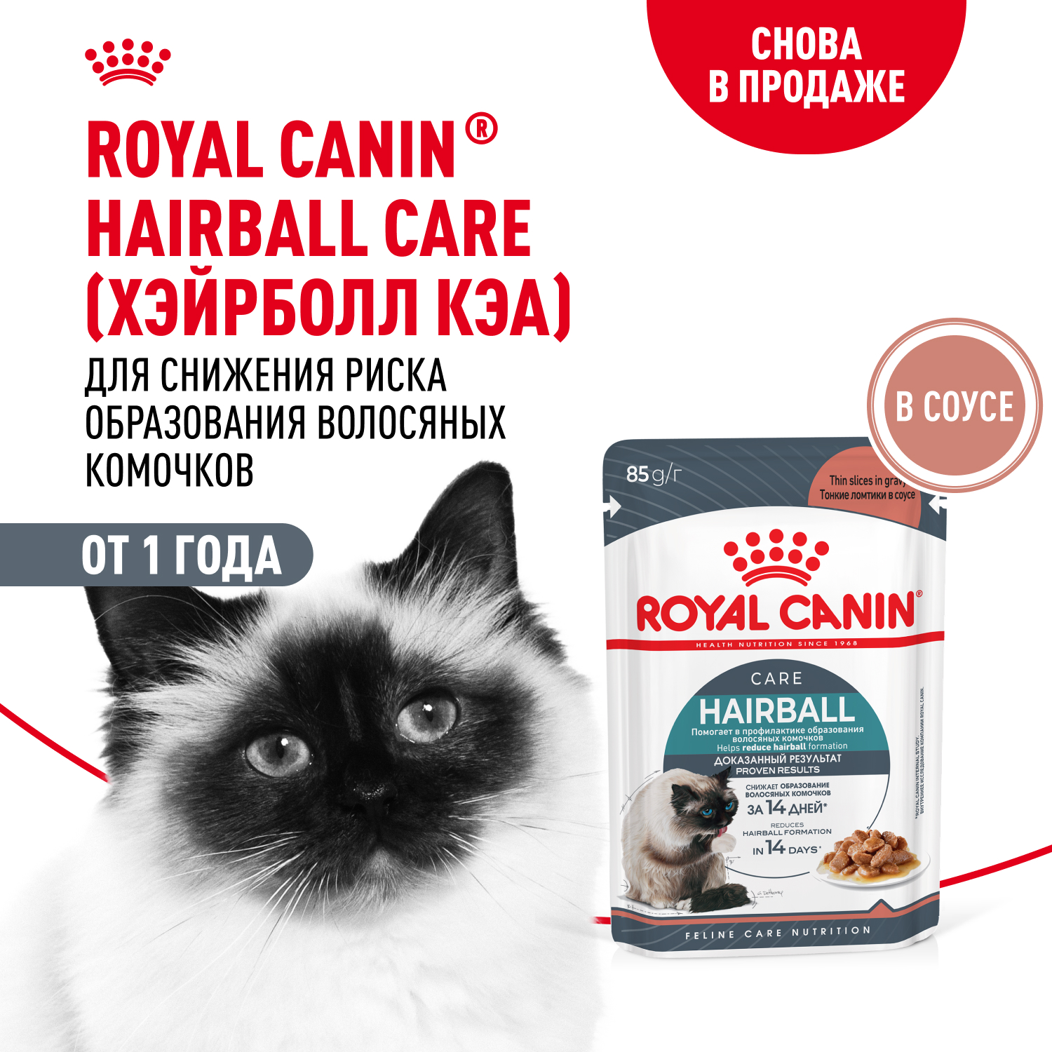 Корм для кошек ROYAL CANIN Hairball care для снижения риска образования волосяных комочков 85г - фото 2