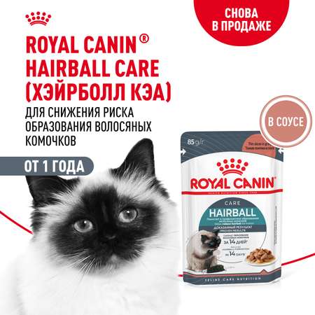 Корм для кошек ROYAL CANIN Hairball care для снижения риска образования волосяных комочков 85г