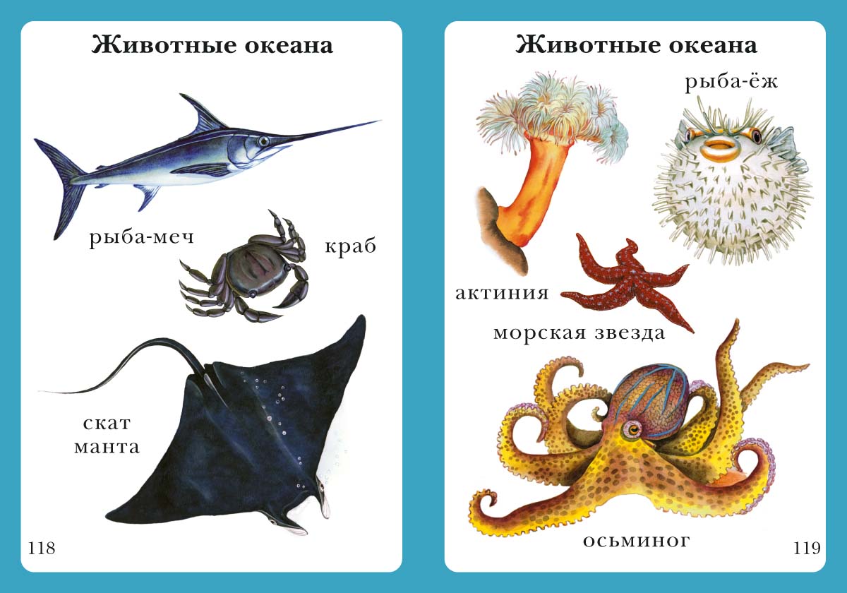 Книга Белый город Моя первая книга - фото 9