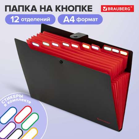 Папка-органайзер Brauberg А4