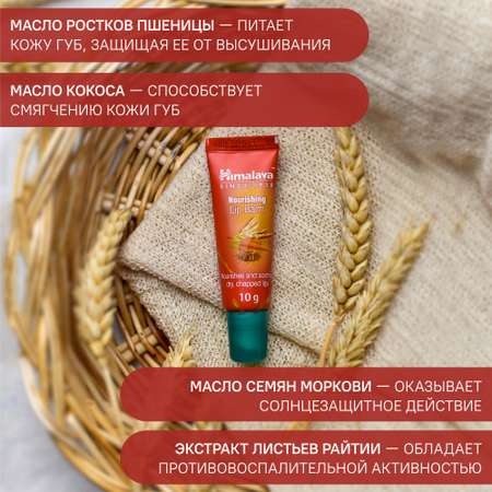 Гигиеническая помада Himalaya 2 шт.