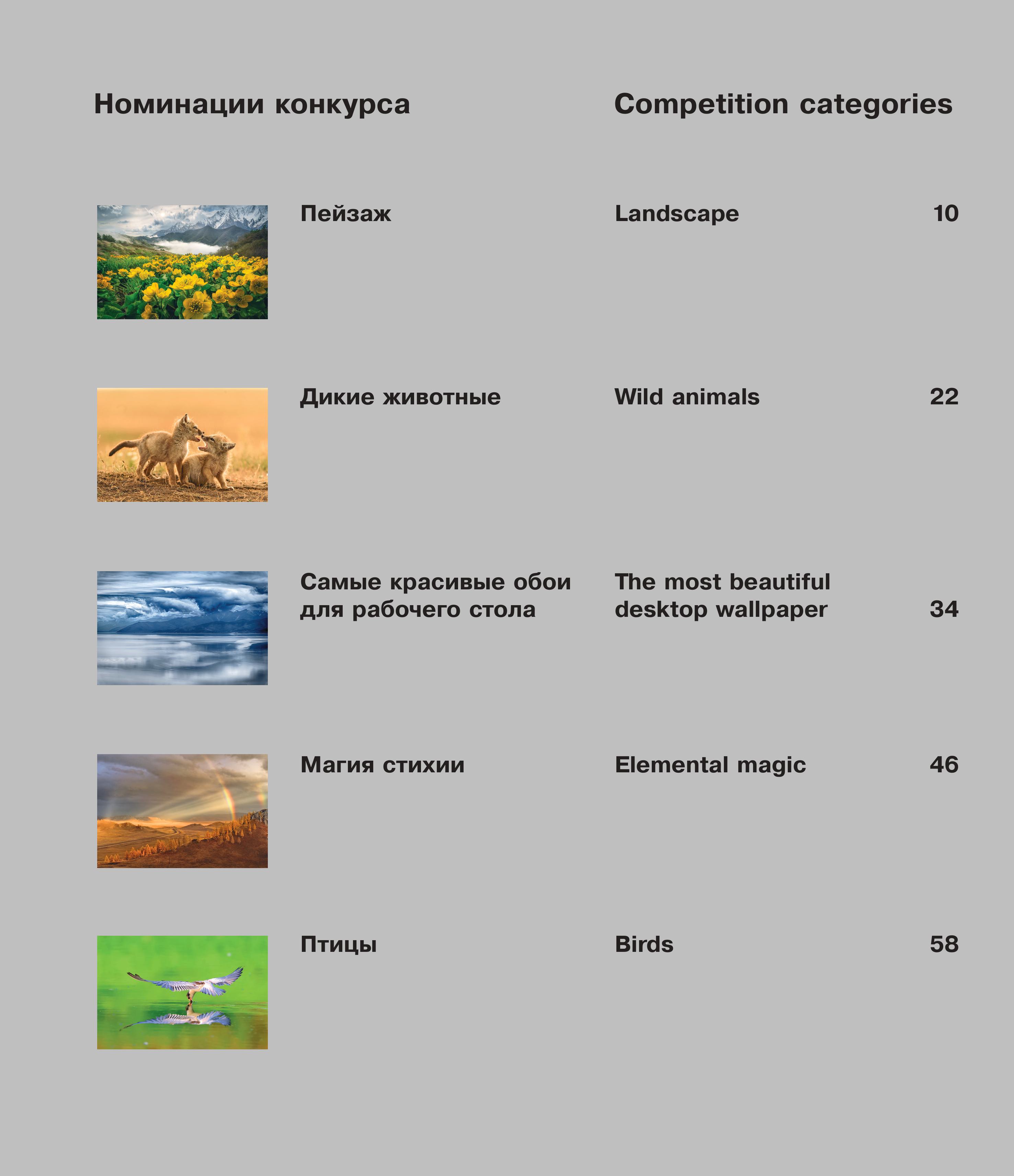Книга БОМБОРА Россия самая красивая страна. Фотоконкурс 2025 - фото 7