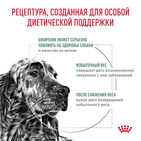 Корм для собак ROYAL CANIN Satiety management 30 контроль веса 12кг