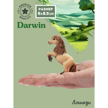 Фигурка DARWIN Животные Лошадь Пони