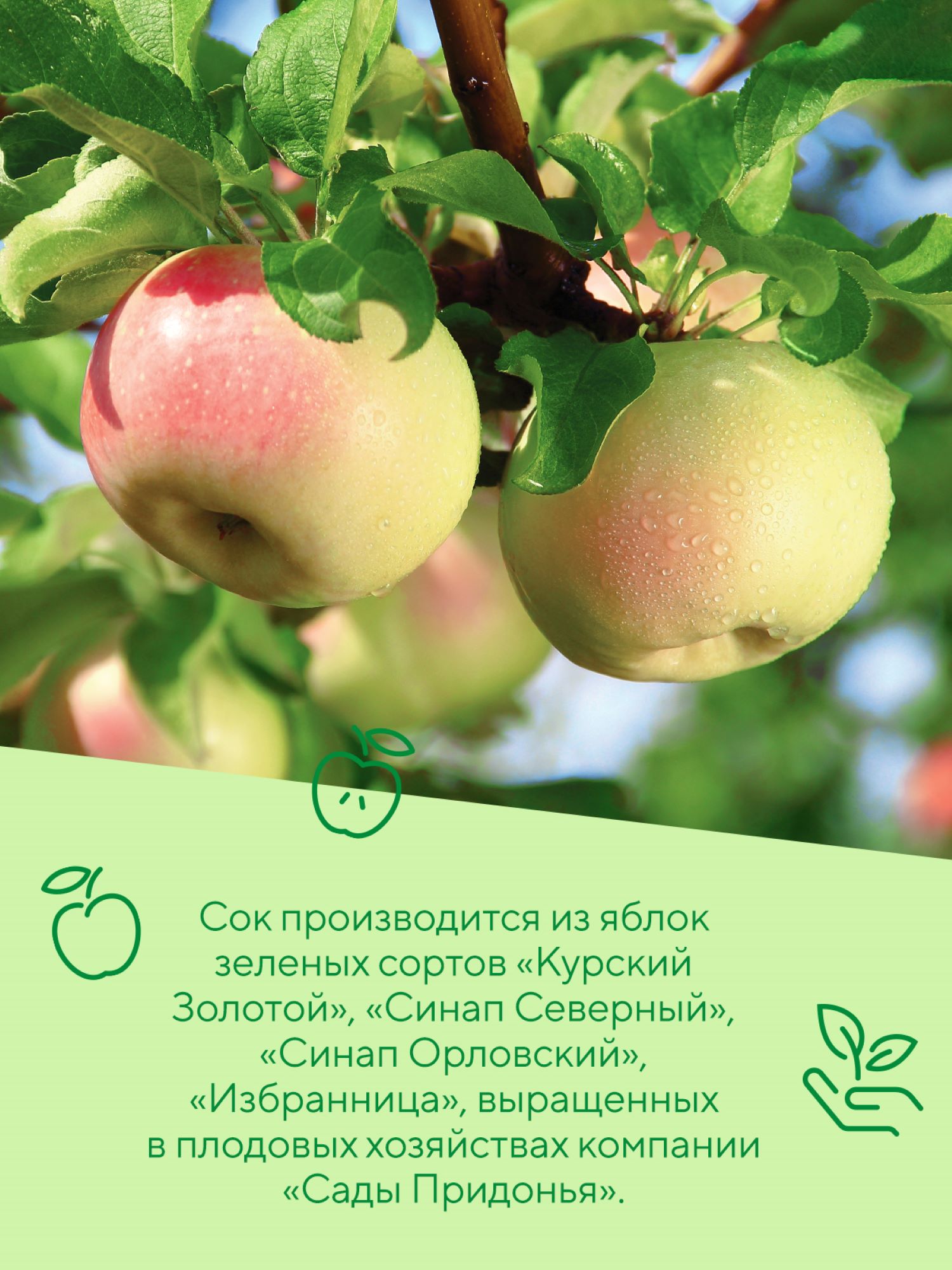 Сок Сады Придонья Яблоко с 4 мес 0.2 л - фото 5