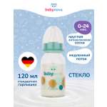 Бутылочка babynova 120 мл