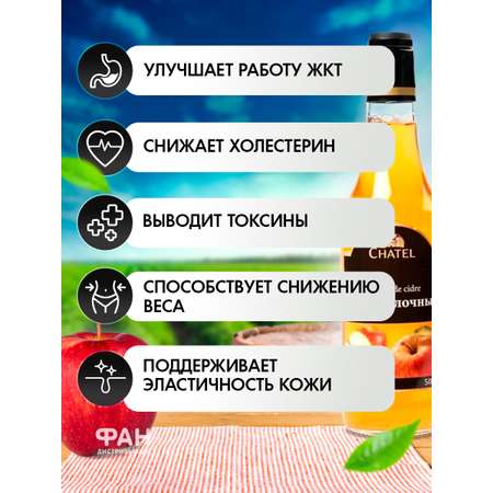Уксус Chatel яблочный стеклянная бутылка