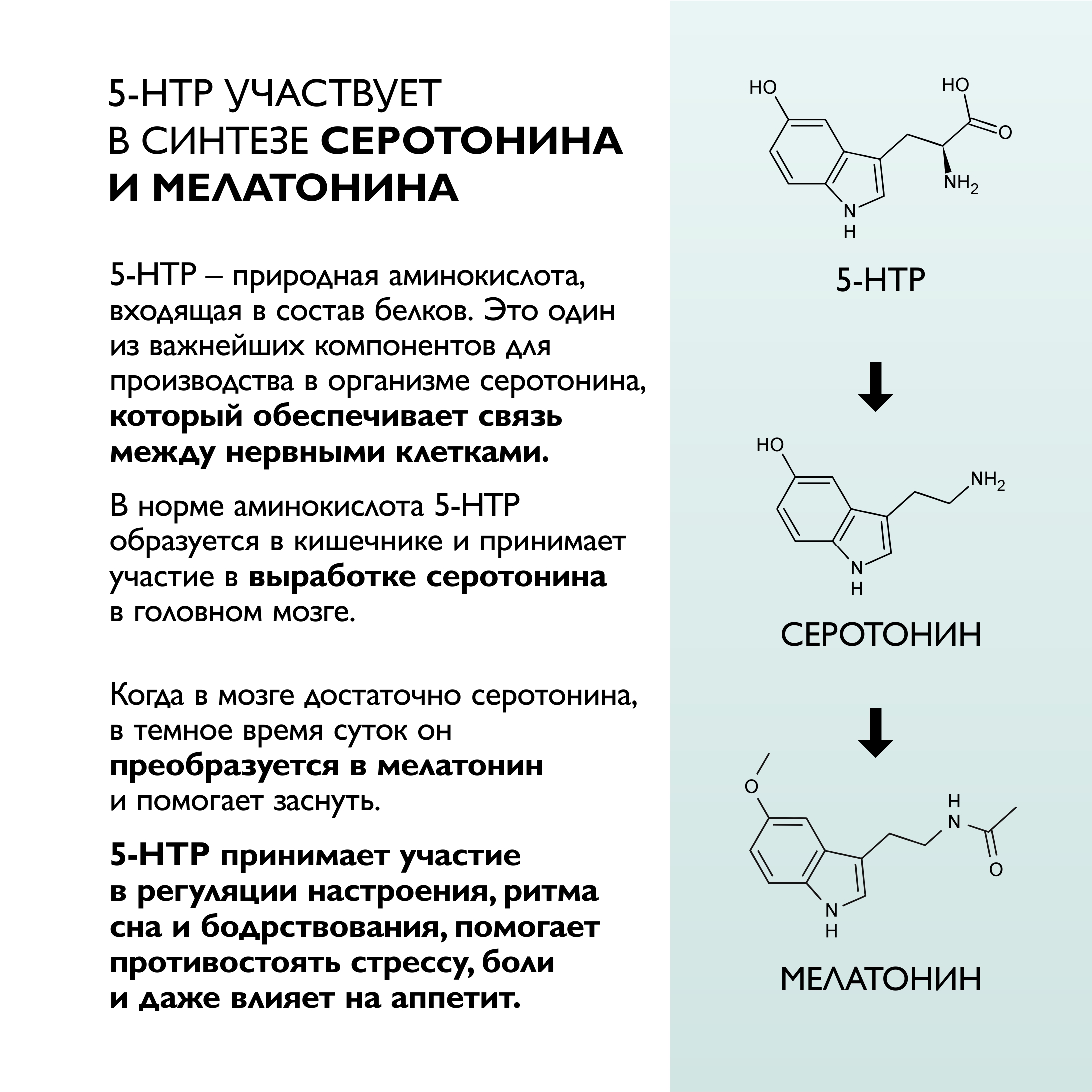 Витамины Dr. Zubareva 5-HTP 60 капсул - фото 3