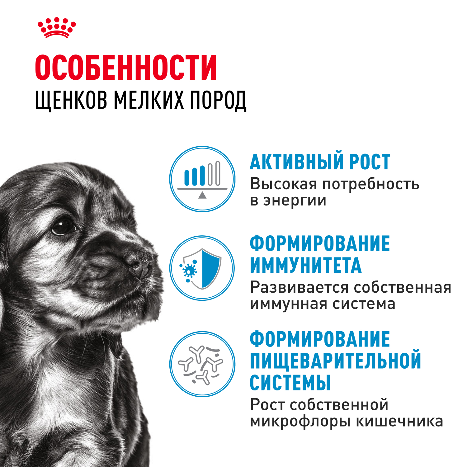 Корм для щенков Royal Canin Mini Puppy мелких пород до 10 месяцев кусочки в соусе пауч 85г - фото 2
