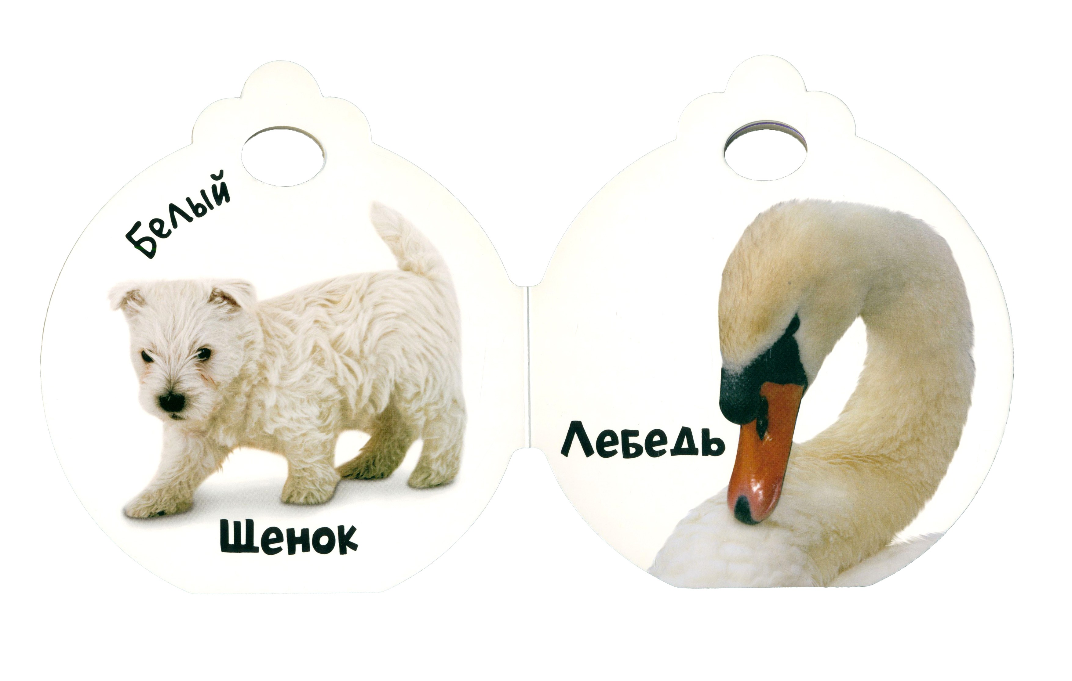 Книга Лабиринт Крошки-ладошки Цвета - фото 4
