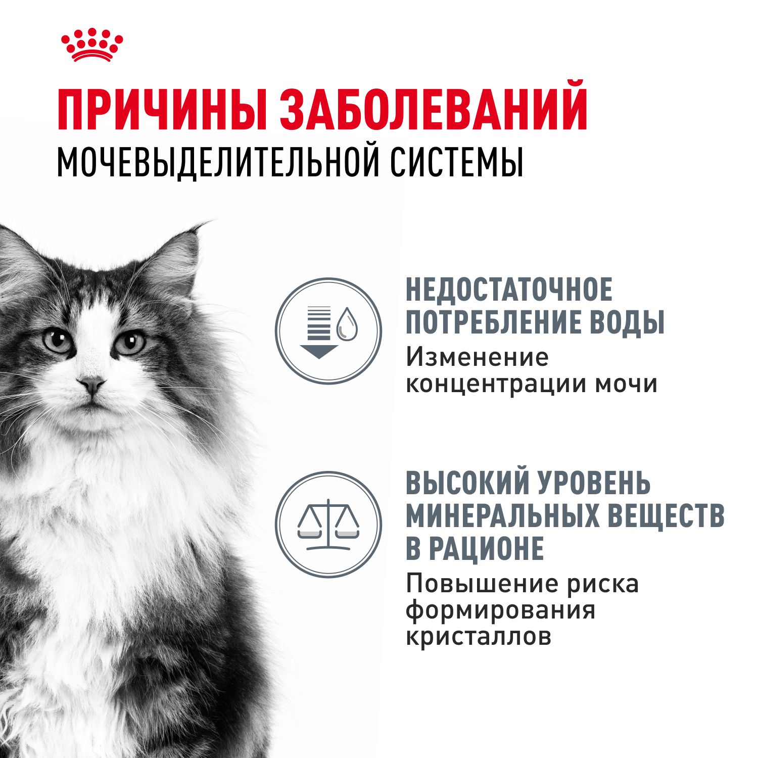 Корм для кошек ROYAL CANIN Urinary Care для поддержания здоровья мочевыделительной системы 85г - фото 2