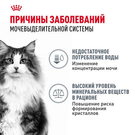 Корм для кошек ROYAL CANIN Urinary Care для поддержания здоровья мочевыделительной системы 85г