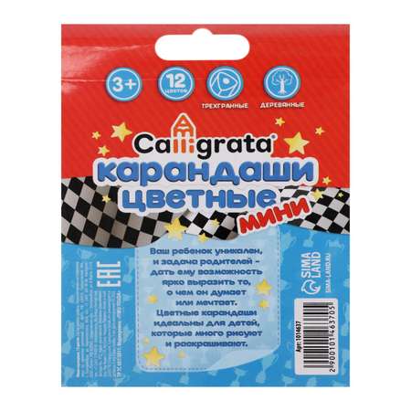 Карандаши Calligrata