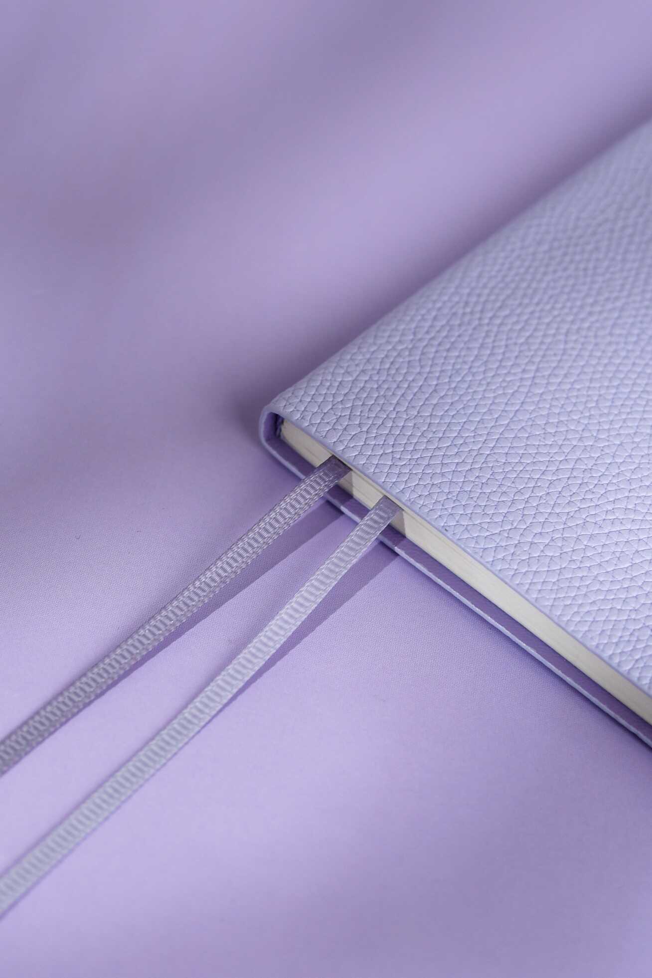 Ежедневник Феникс + ESCALADA 64 лист. - фото 6