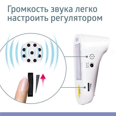 Тонометр B.Well автоматический PRO-36 Говорящий + адаптер