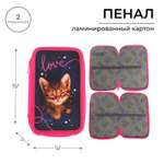 Пенал книжка Calligrata