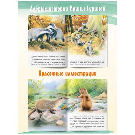 Книга Фламинго Сказки для детей и малышей Добрые истории со смыслом Внеклассное чтение