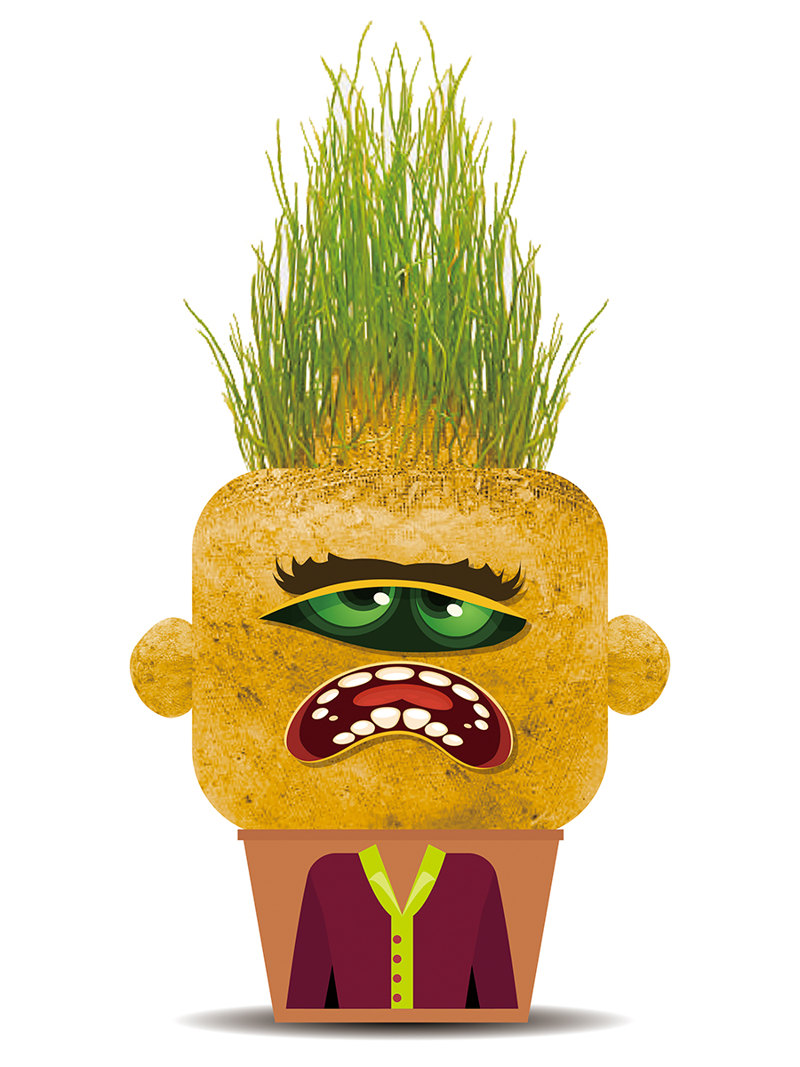 Набор для выращивания Hape - фото 1