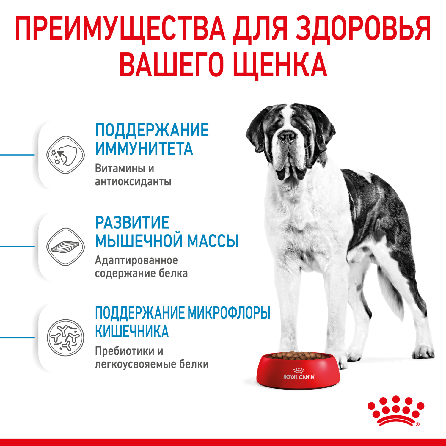 Корм для щенков ROYAL CANIN гигантских пород 8-24месяцев 15кг - фото 6